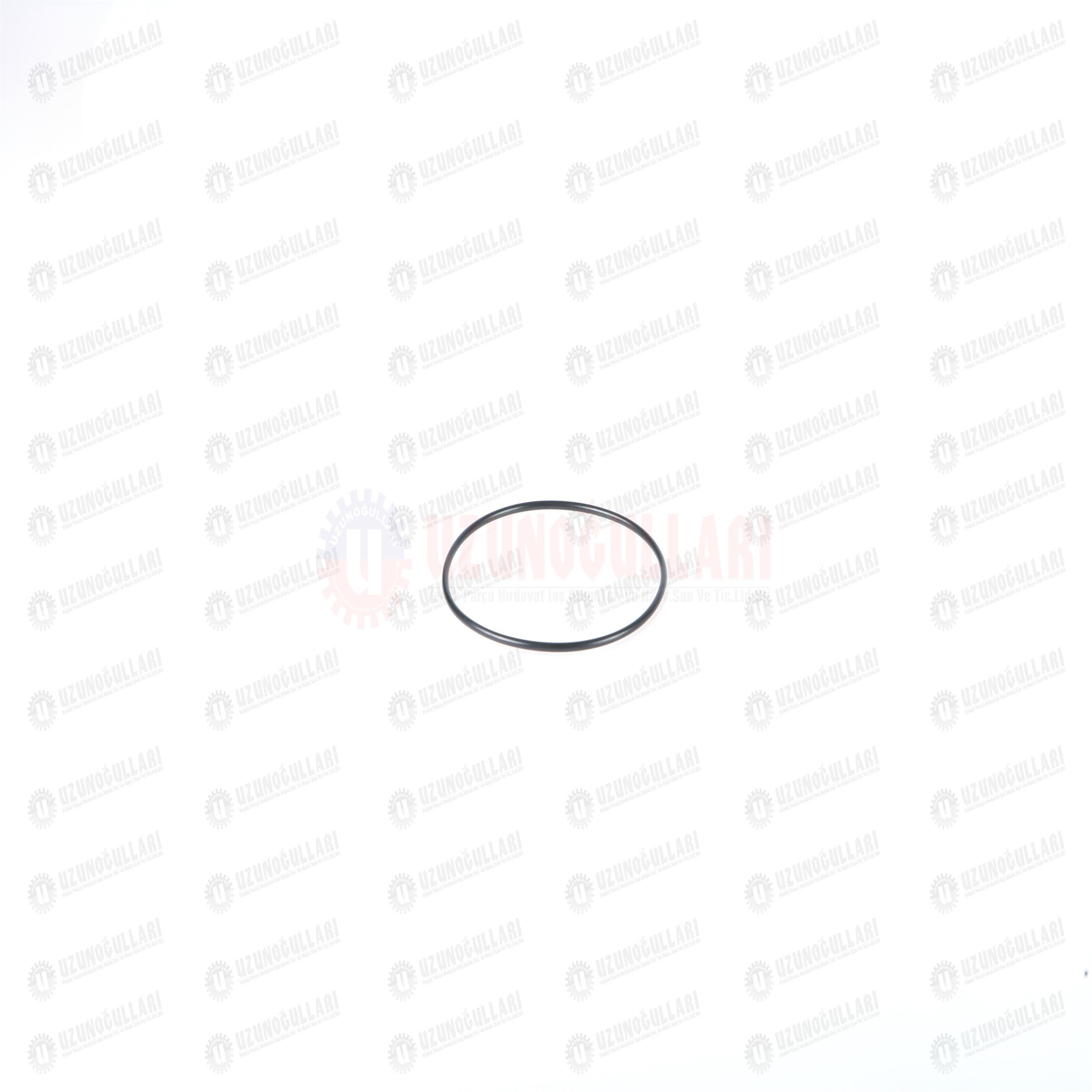 259930 O-RİNG 1