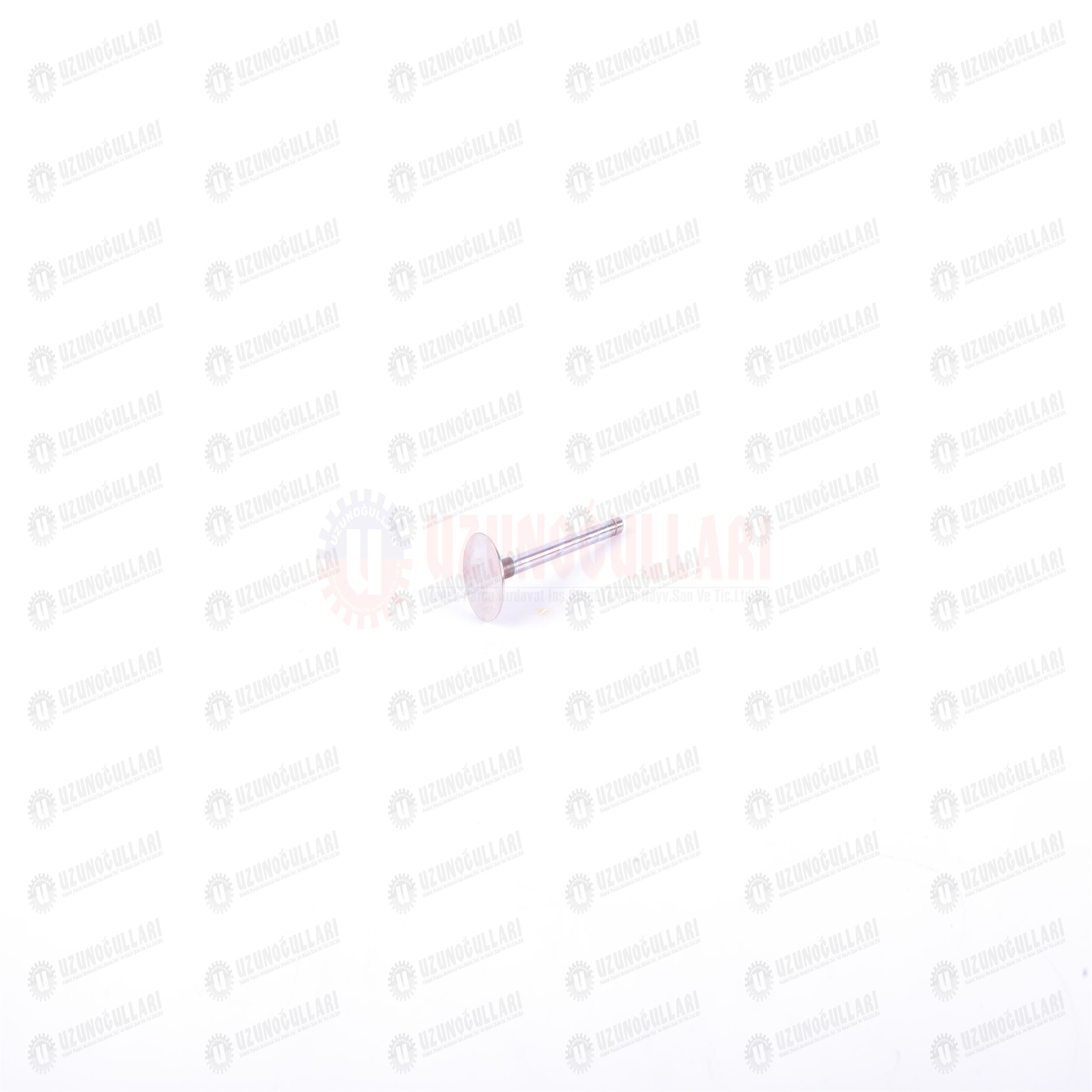 4673608-K EGZOZ SUPABI KALIN 1