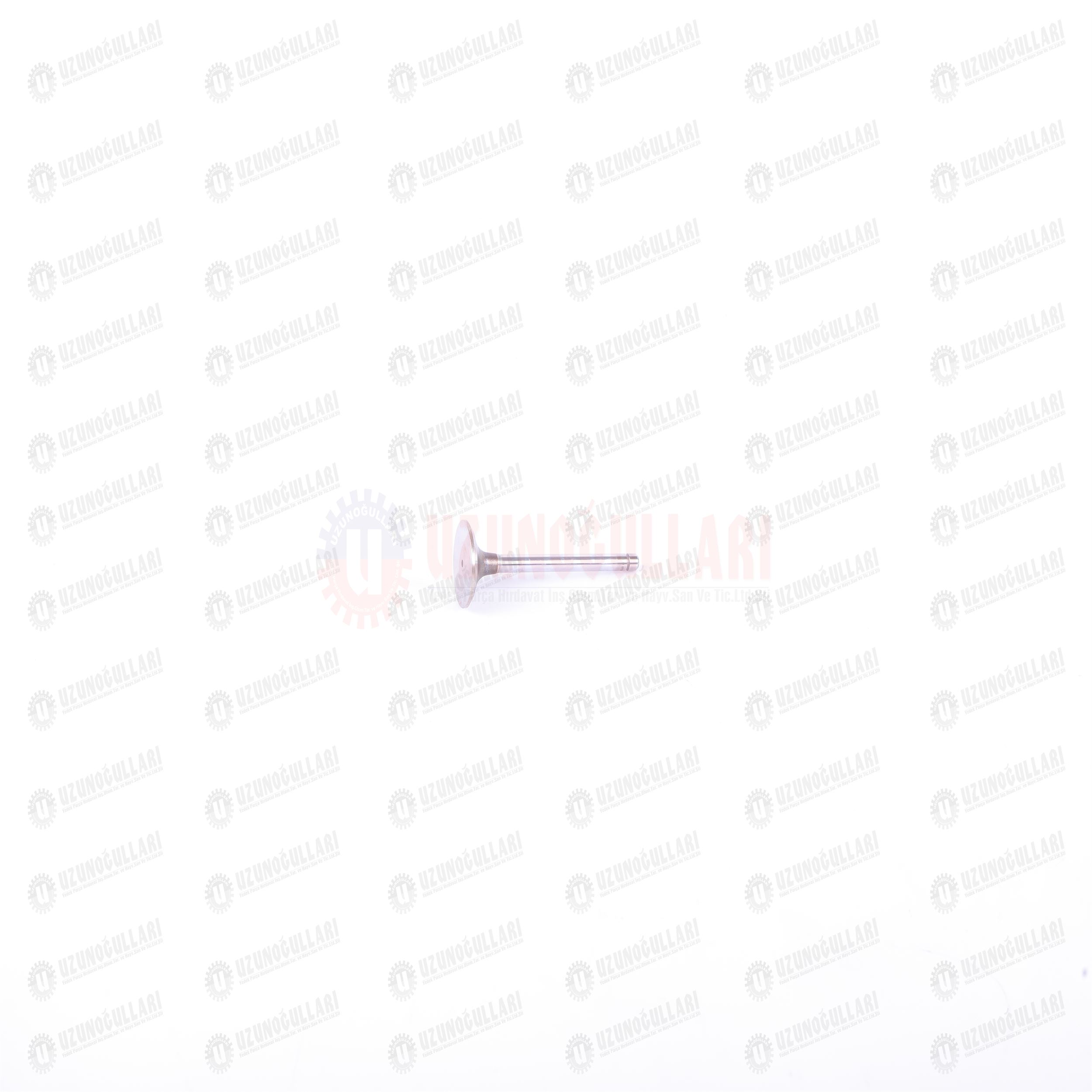 4784889-K EGZOZ SUPABI 1