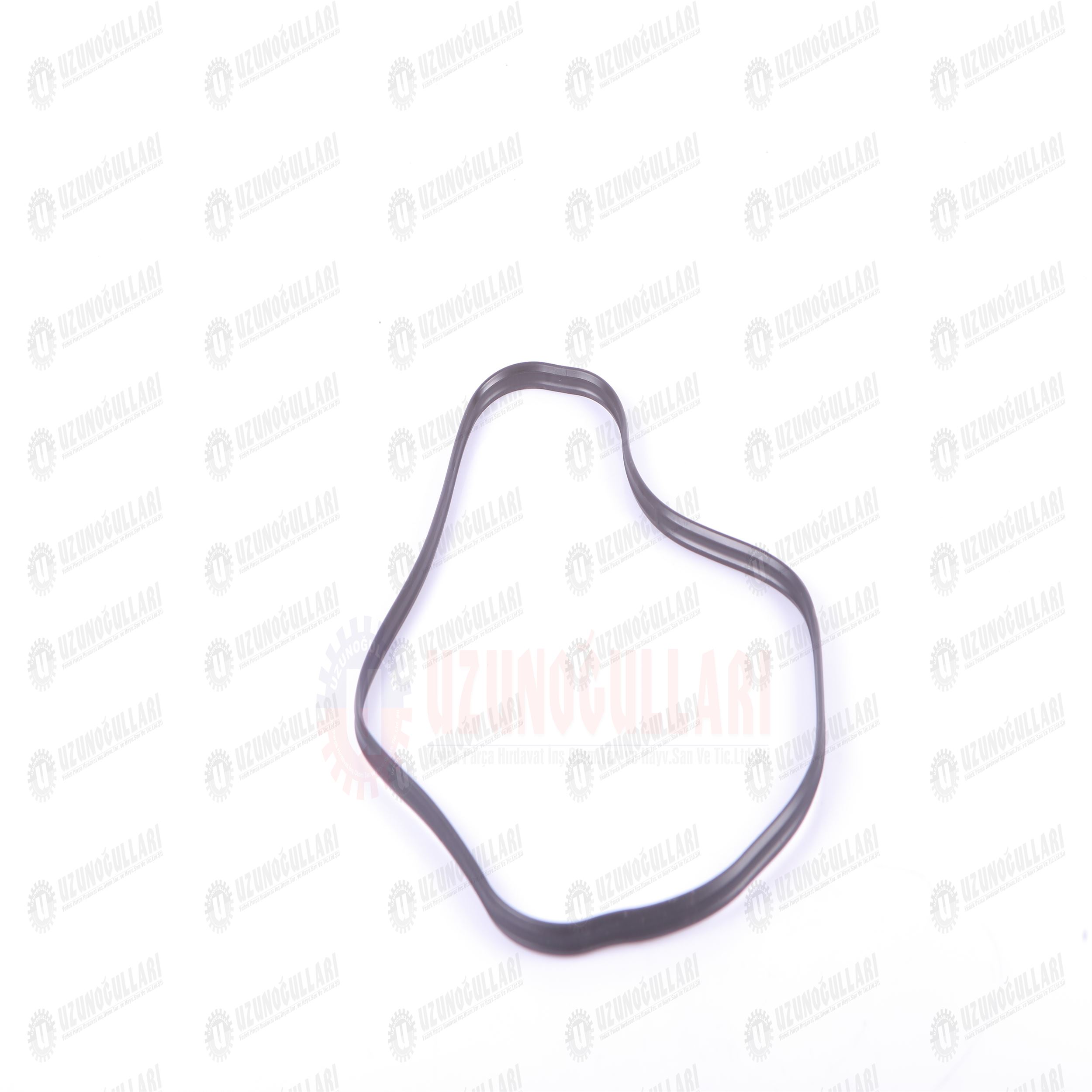 500301351 SUBAP KAPAK LASTİĞİ 4 CLY 1