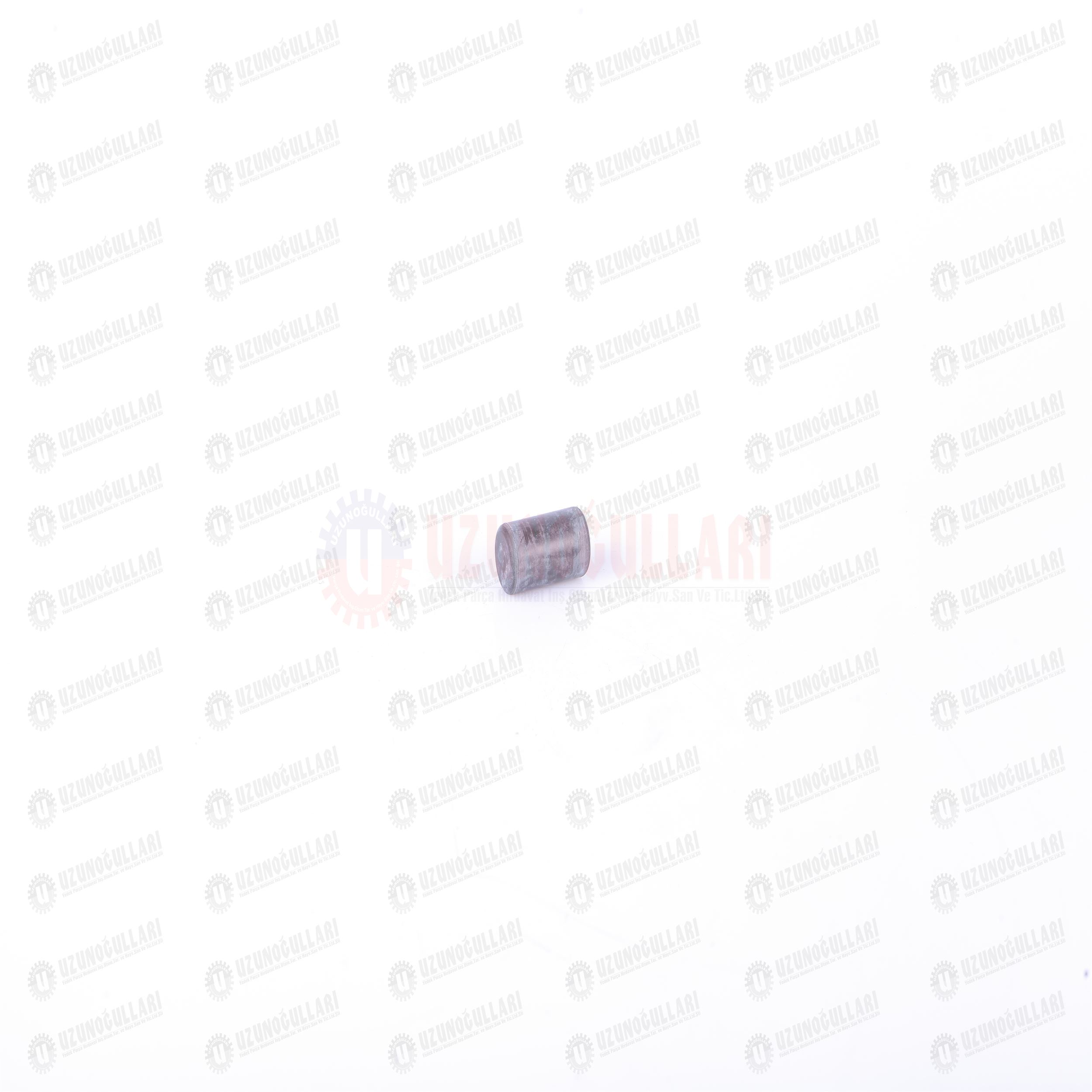 5085653 KAPLİN LASTİĞİ 1
