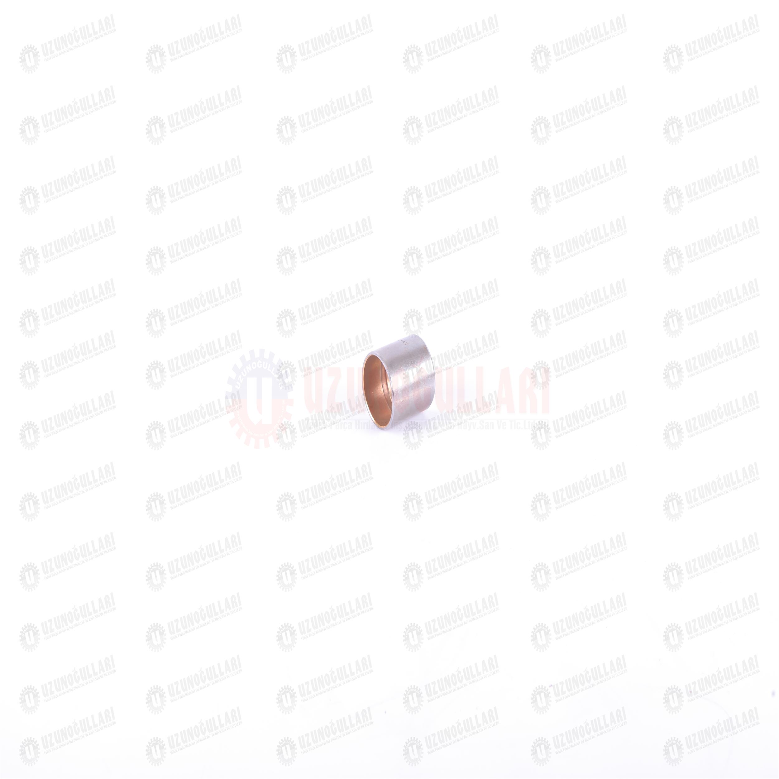 5088072 AVARE DİŞLİ BURCU 1