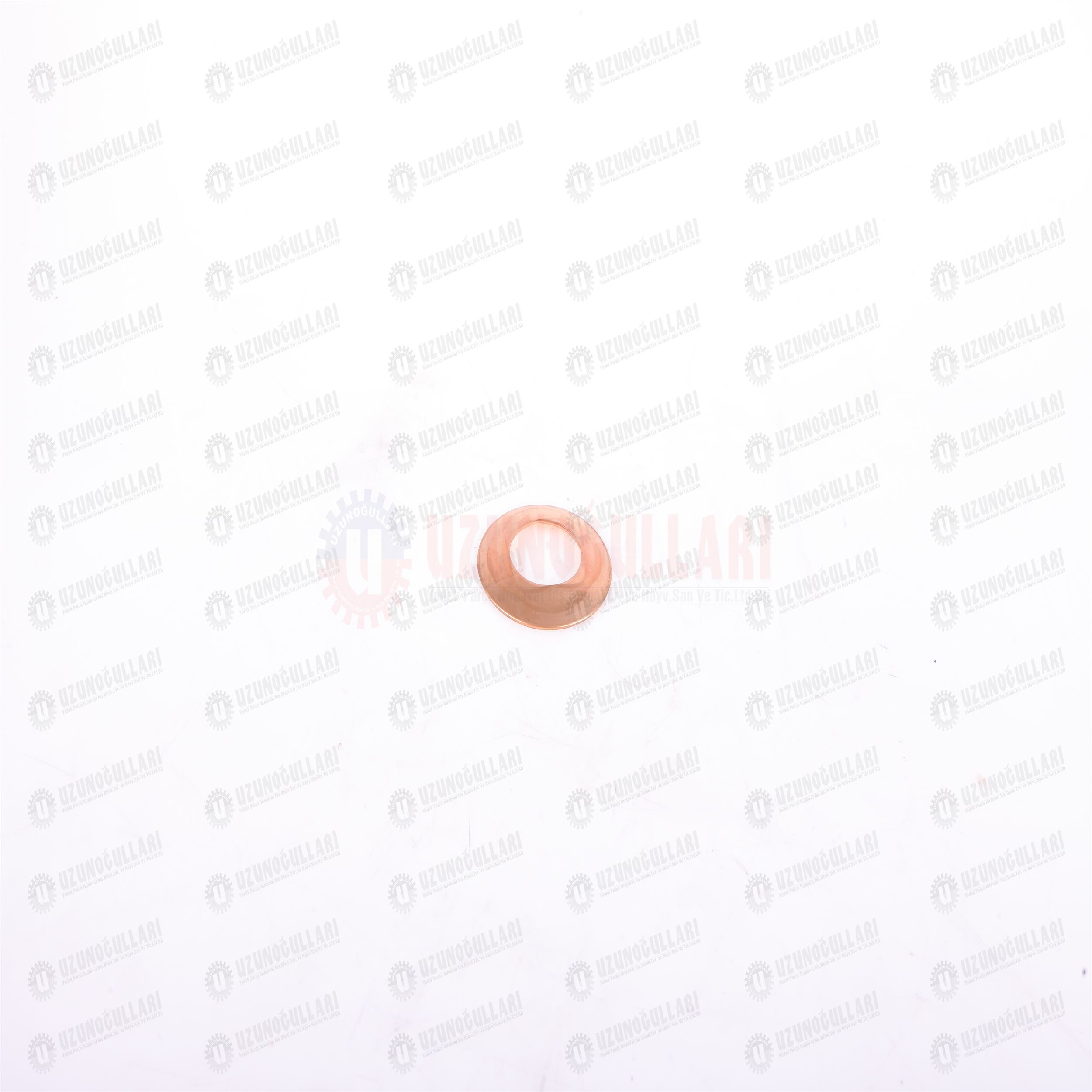 5089372 İSTAVROZ DİŞLİ PULU 1