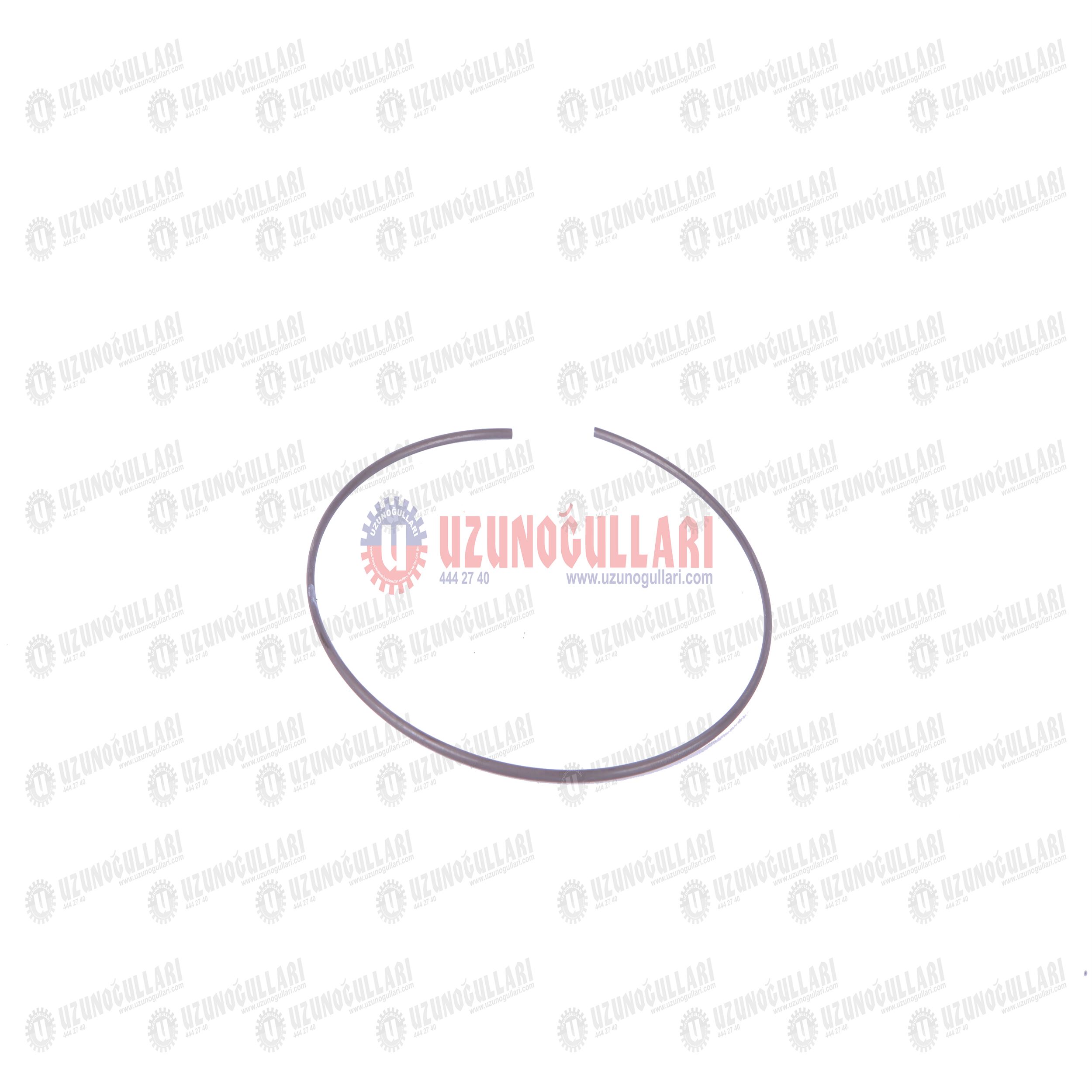 5100512 ÖN DİFRANSİYEL SEGMANI 1