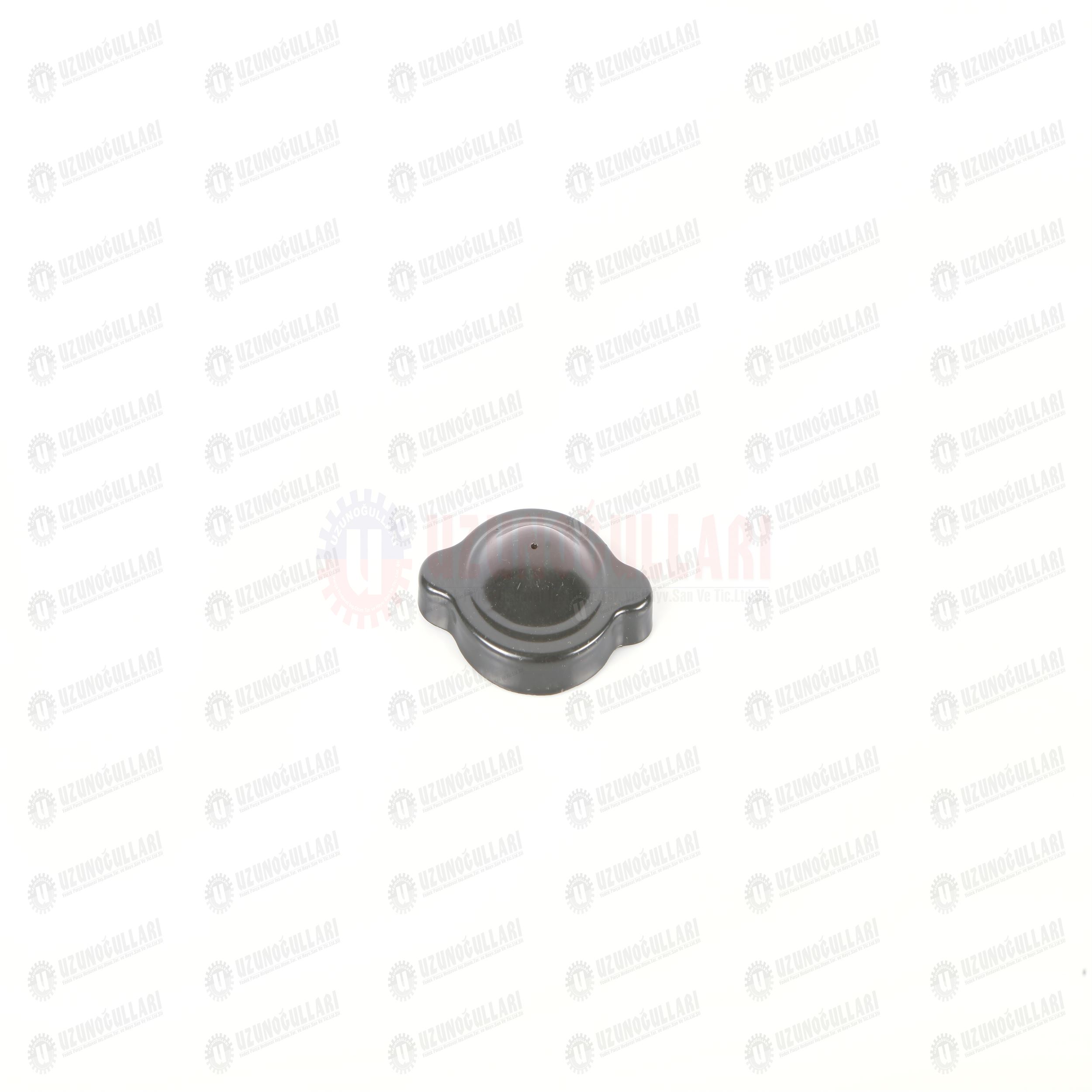 5118532 MAZOT DEPO KAPAĞI  480/640 1