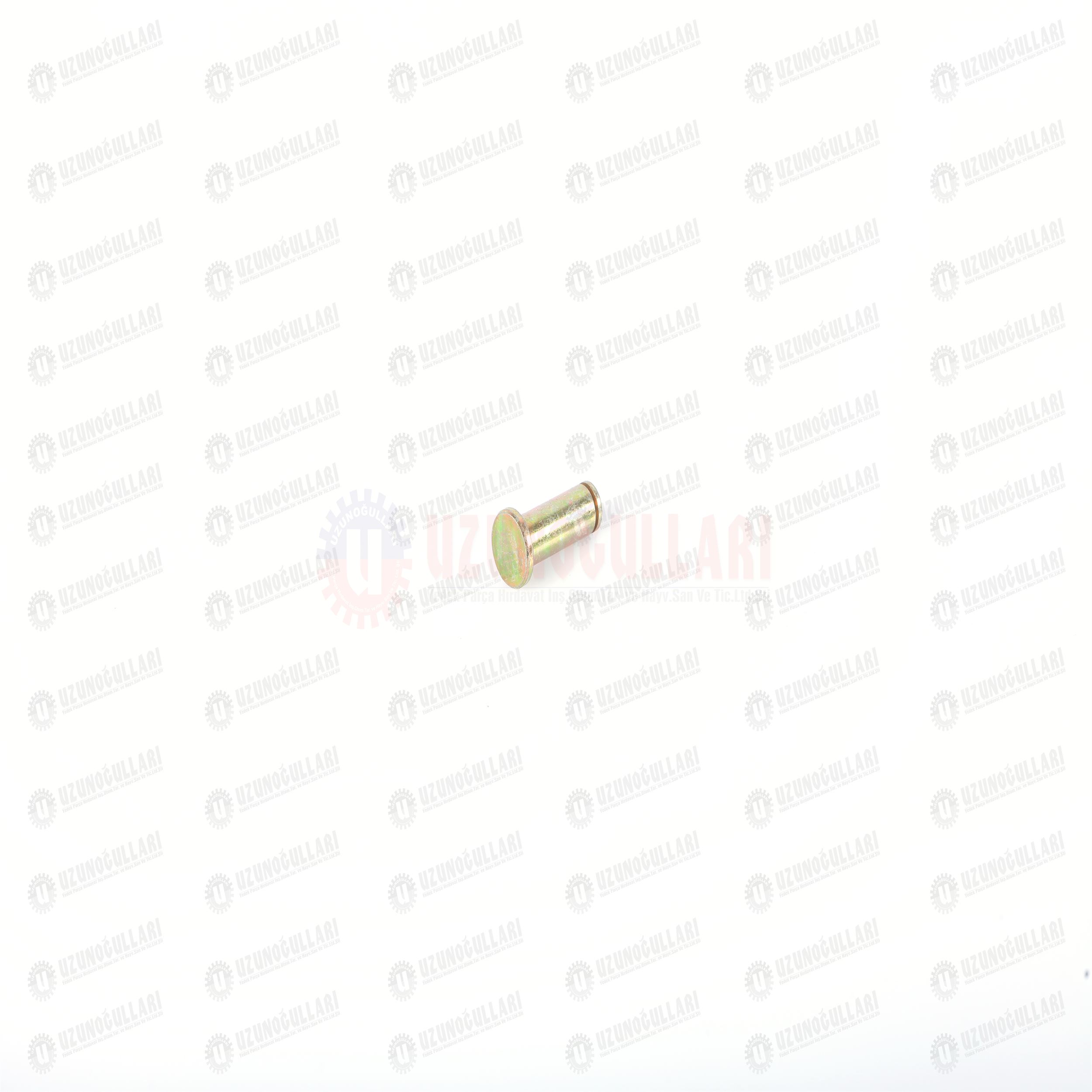 5125035 PİM CAM KİTLEK KOLU 1