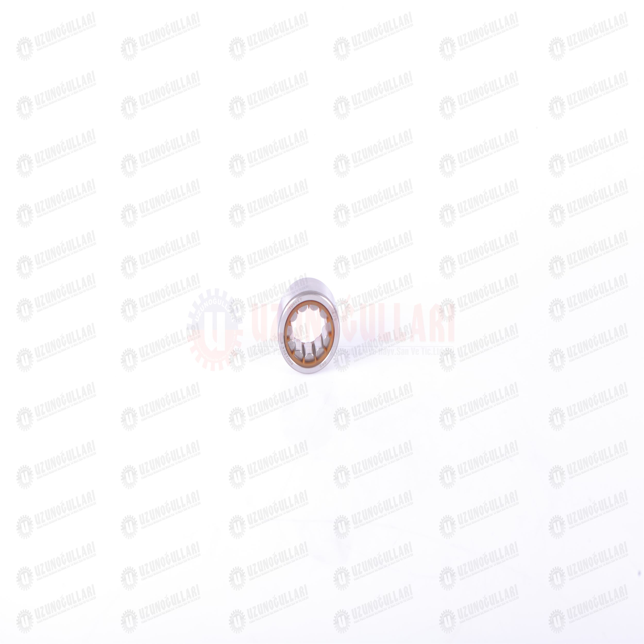 5126458 ŞANZUMAN RULMANI(RNU 2304 ECP) 1