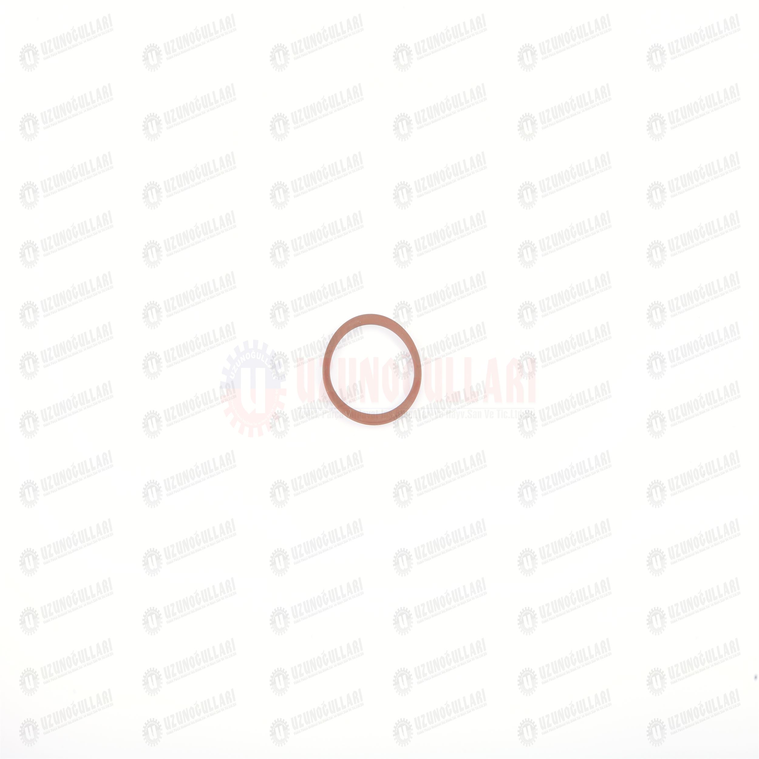 5135736 O-RİNG 1
