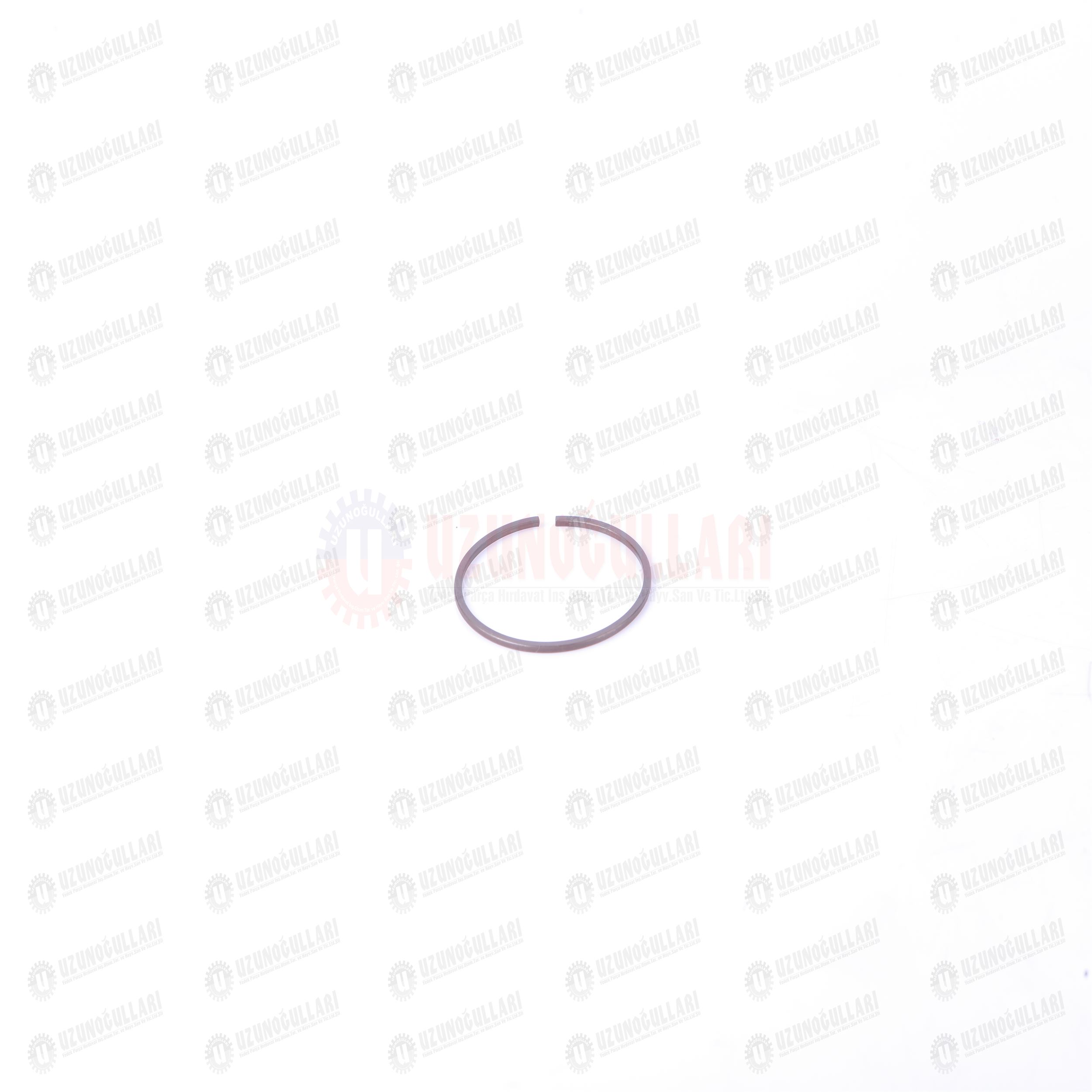 5162253 SEGMAN 1