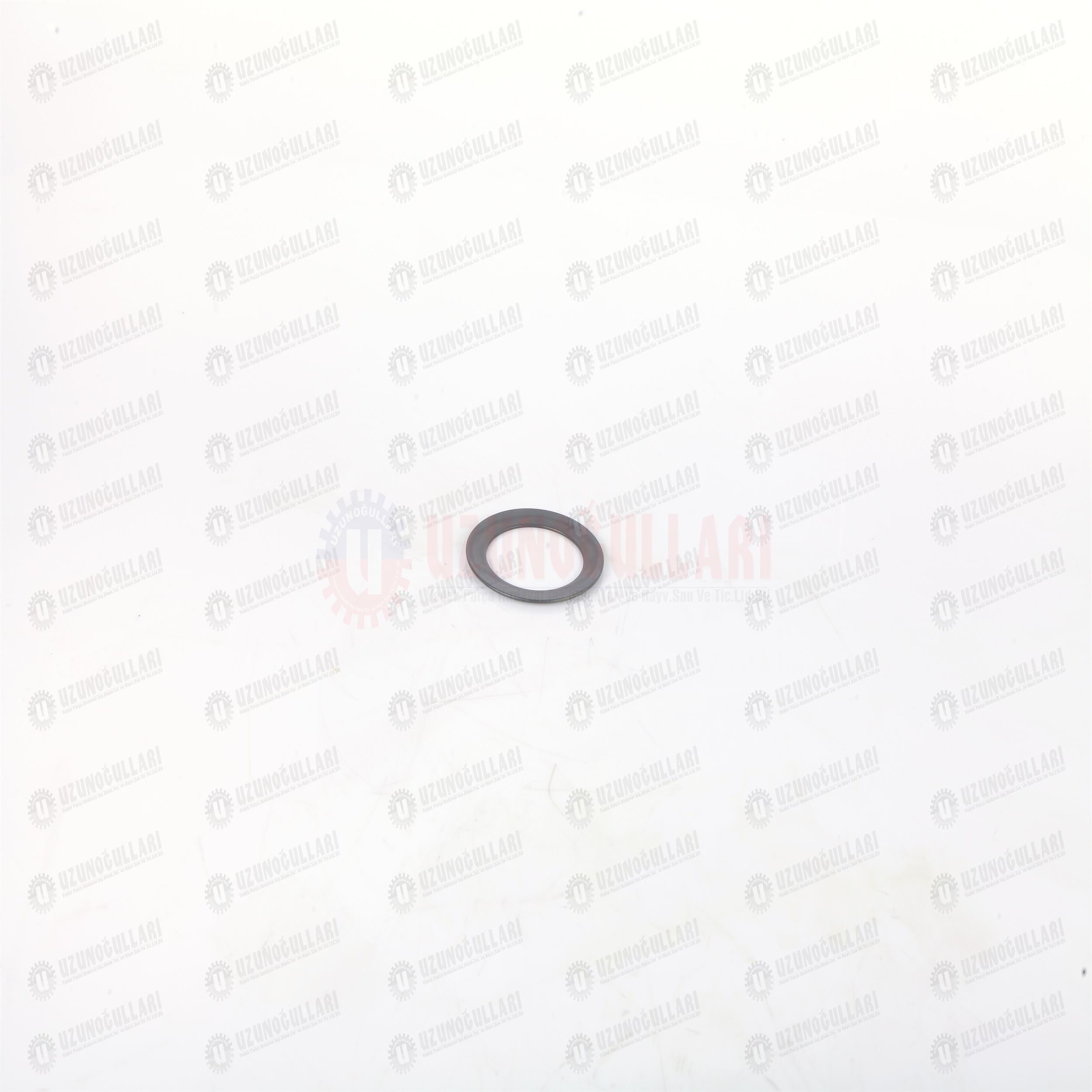 5168346 KUYRUK MİL BALATA YAYI TD-TSA-T 6000-T 7000 1