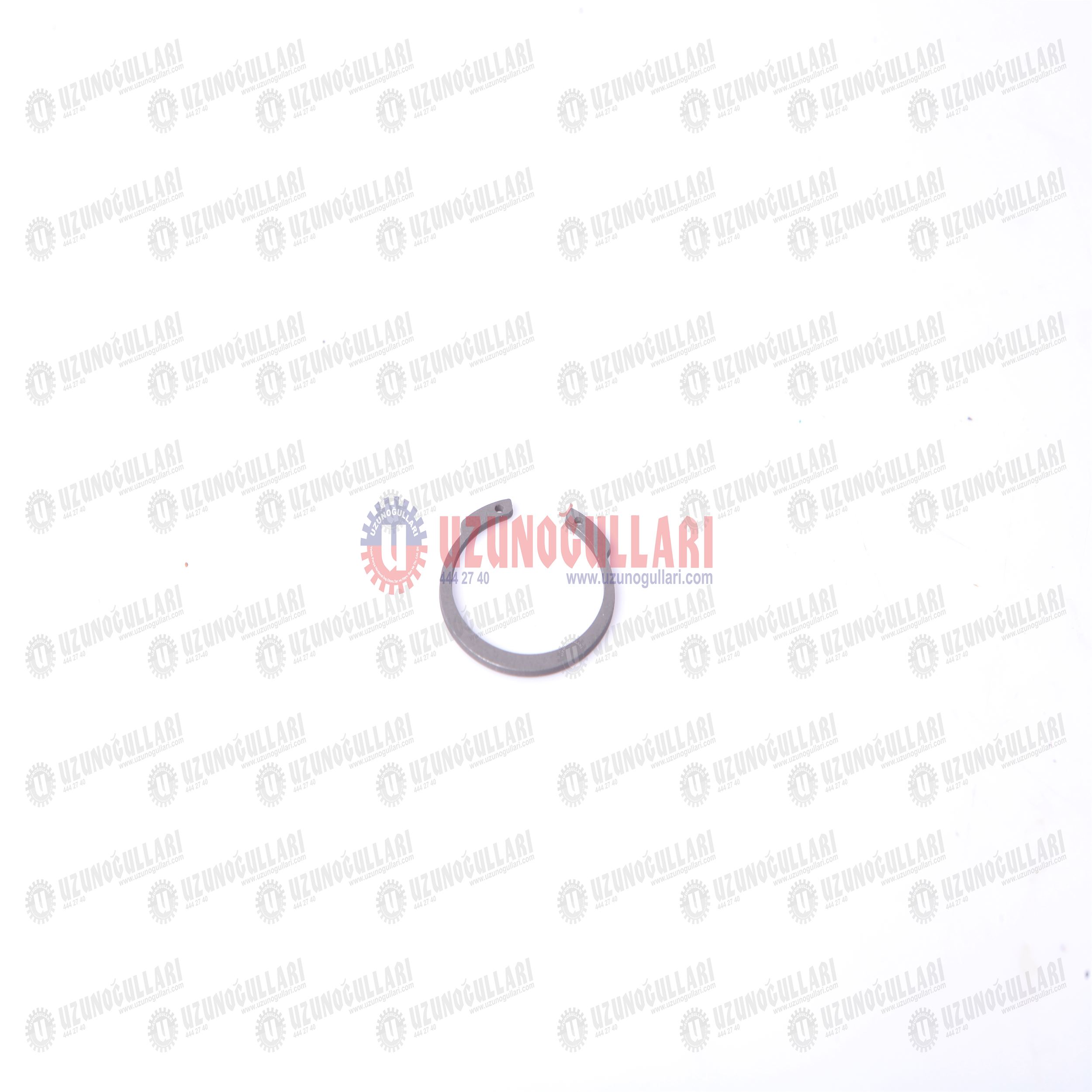 5180152 SEGMAN 1
