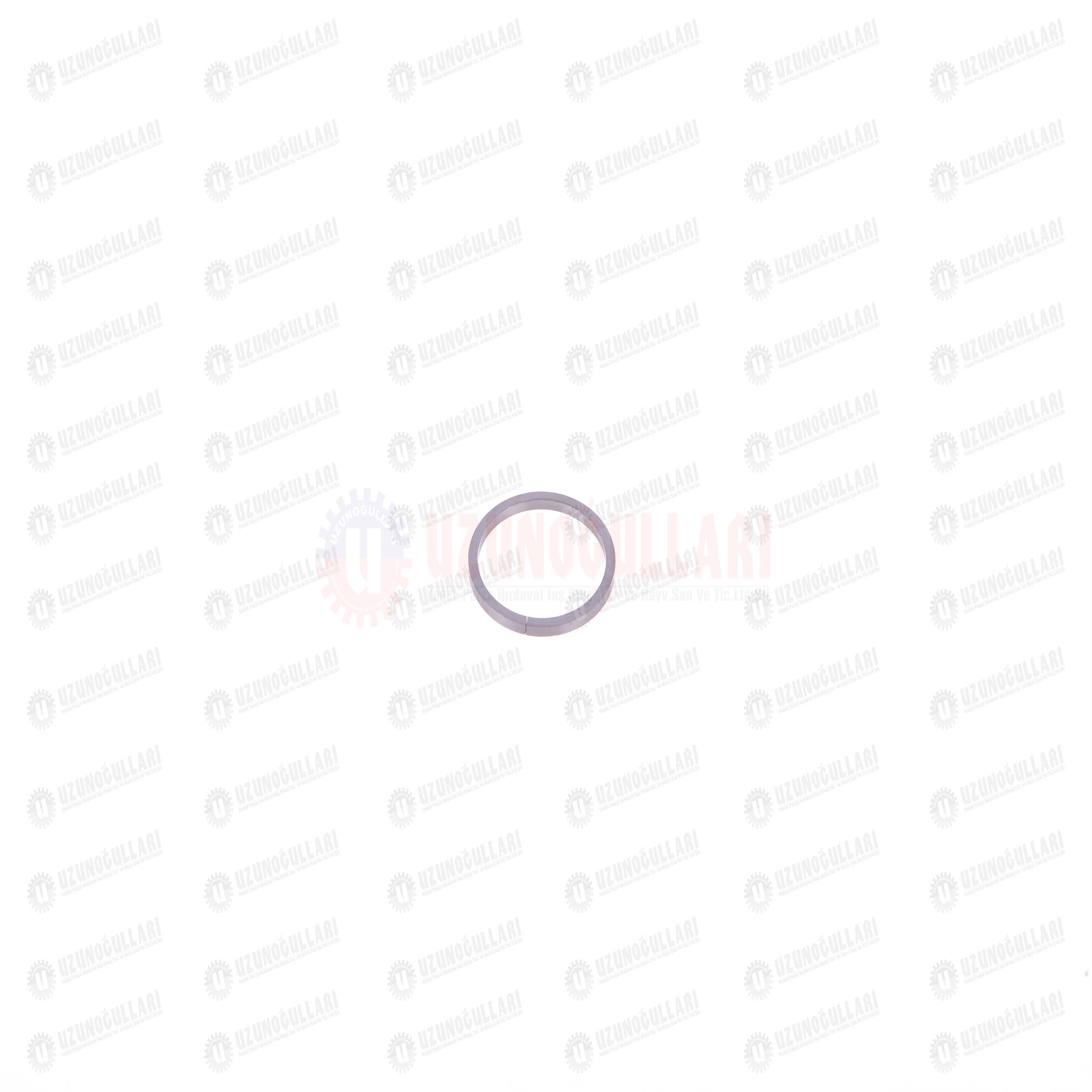 5194902 SEGMAN 1