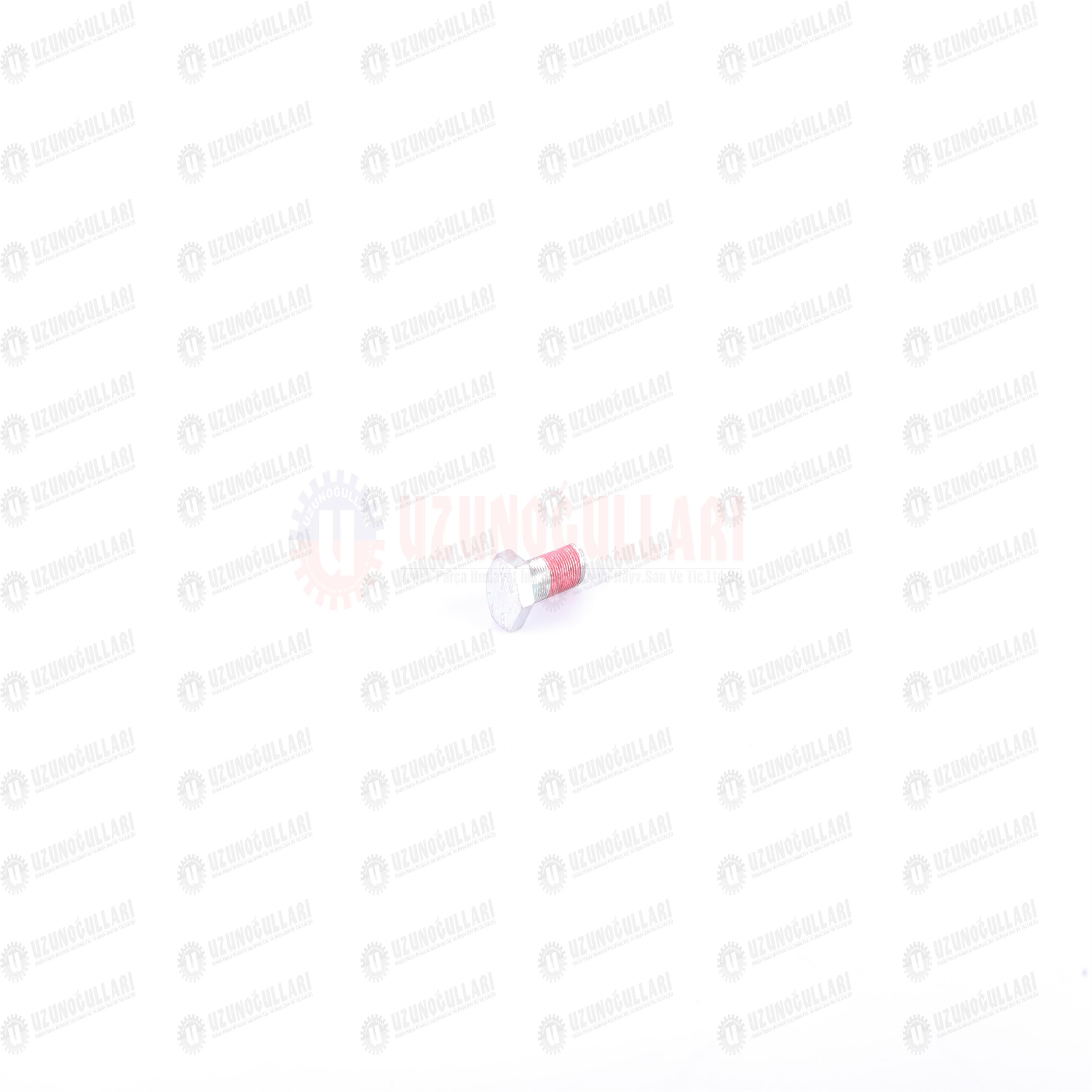 84170038 AYNA MAHRUTİ CİVATASI 1