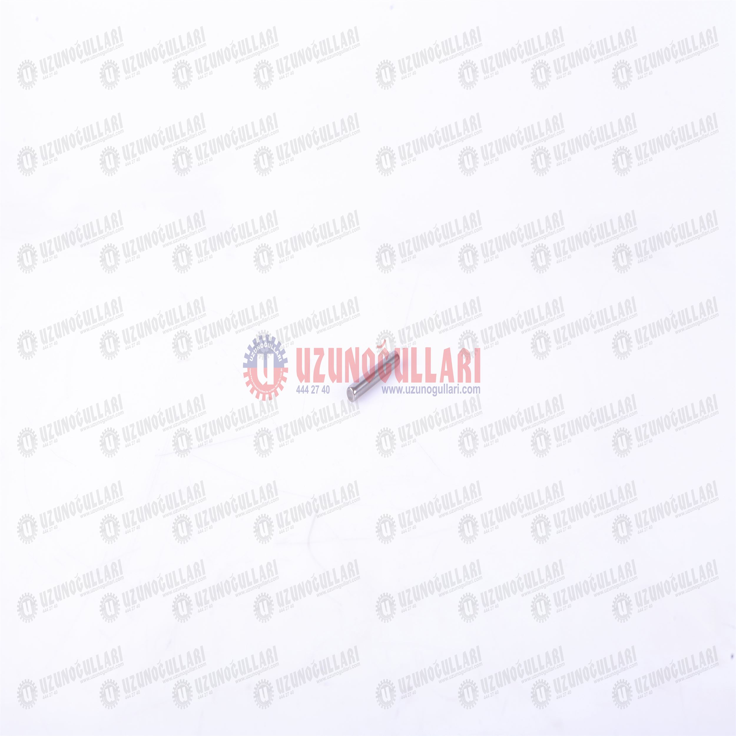 87565312 ÖN.DİF.BAĞ.RULMANI    1 DİŞLİ :19 AD	 1