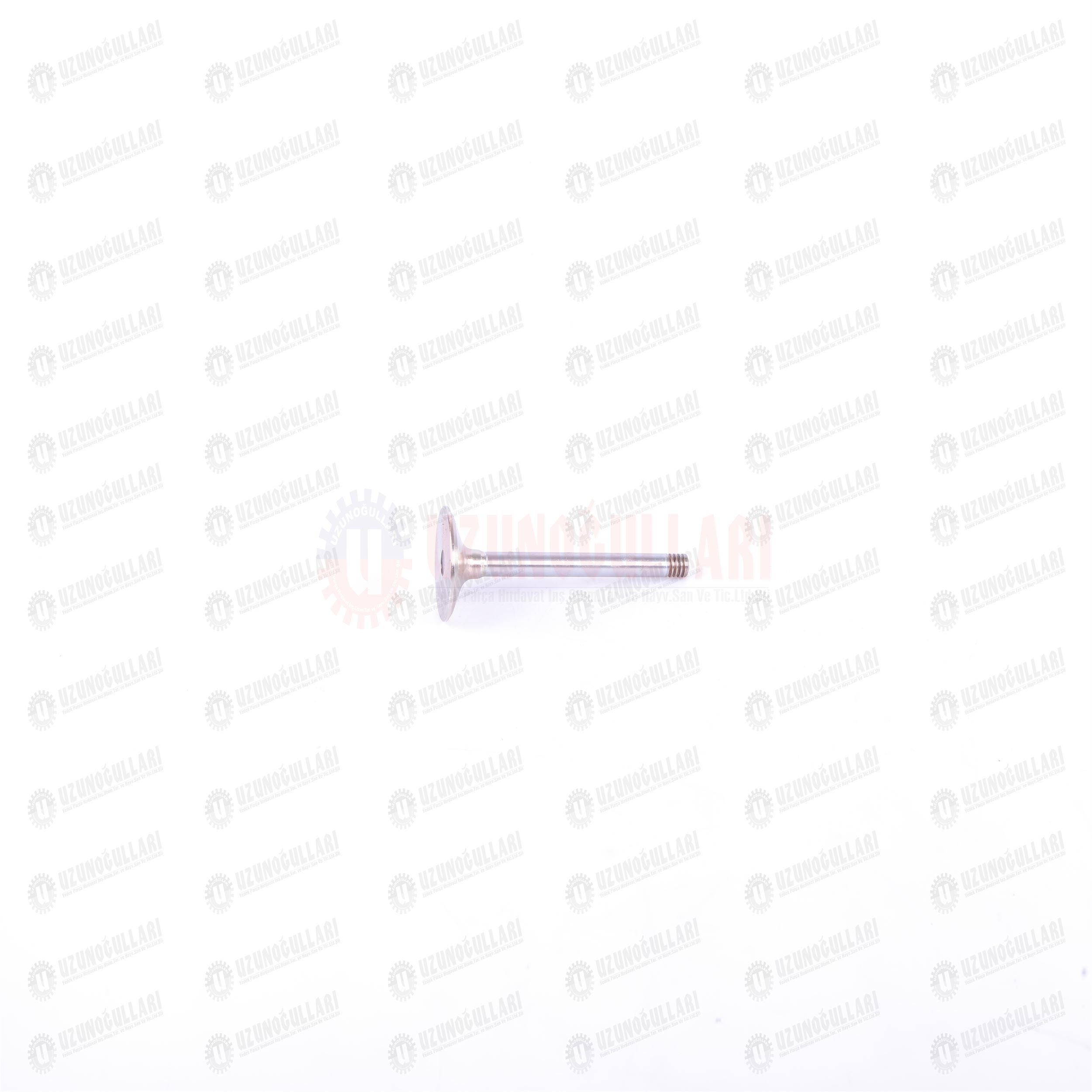 87802266 EKZOST SUBAP 1