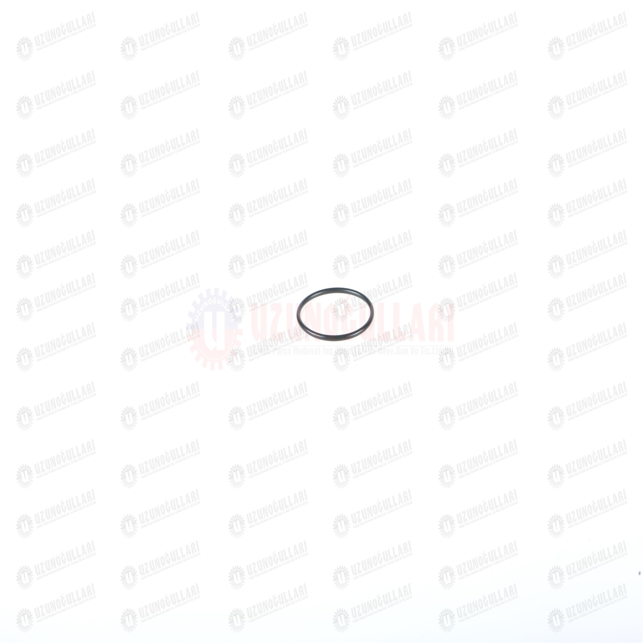 9820460 ORING 1