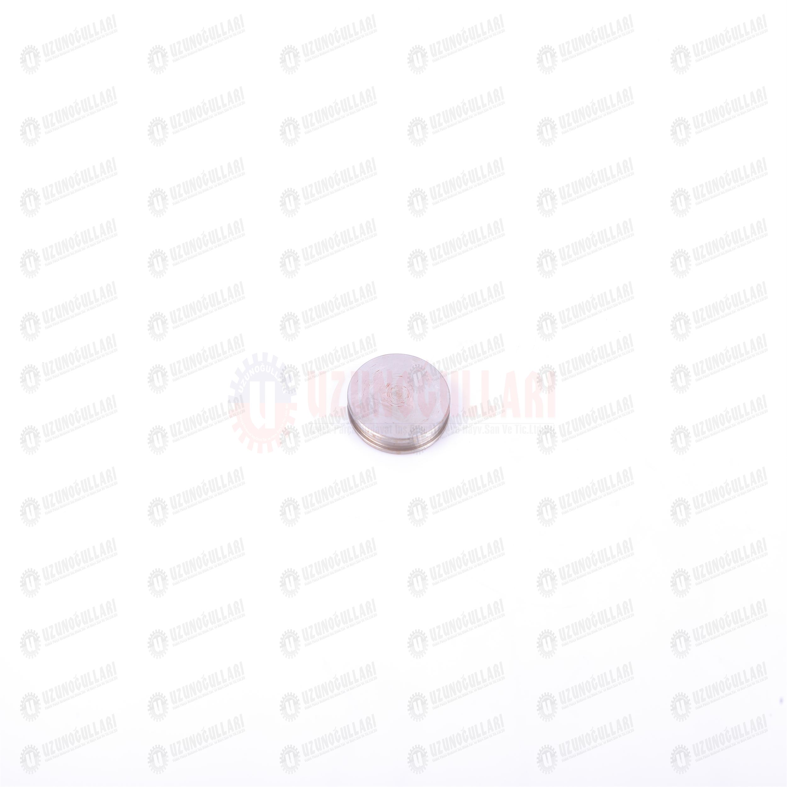 98412737 EKSANTRİK GÖVDE TAPASI  64 MM 1