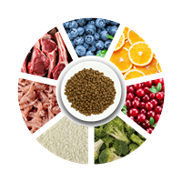 Prochoice Yavru Köpekler İçin, Hipoalerjenik, Kuzu Etli Ve Pirinçli Kuru Mama 12 kg 3