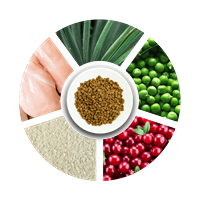 Prochoice Kısırlaştırılmış Kediler İçin, Hipoalerjenik, Tavuk Etli Ve Pirinçli Kuru Mama 15 kg 4