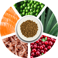 Prochoice Kısırlaştırılmış Kediler İçin, Hipoalerjenik, Somon Balıklı Ve Karidesli Kuru Mama 2 kg 4