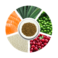 Prochoice Yetişkin Kediler İçin, Hipoalerjenik, Somon Balıklı Ve Pirinçli Kuru Mama 15 kg 4