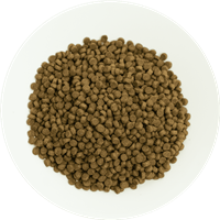 Prochoice Yavru Kediler İçin, Hipoalerjenik, Kuzu Etli Ve Pirinçli Kuru Mama 2 kg 3