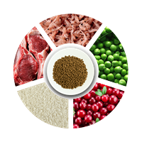 Prochoice Yavru Kediler İçin, Hipoalerjenik, Kuzu Etli Ve Pirinçli Kuru Mama 2 kg 4