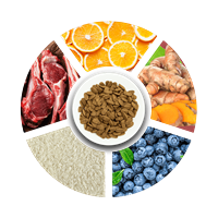 Prochoice Yetişkin Köpekler İçin, Hipoalerjenik, Kuzu Etli Ve Pirinçli Kuru Mama 18 kg 3