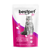 Bestpet Yetişkin Seçici Kediler İçin Tavuk Etli Kuru Mama 1 kg 1