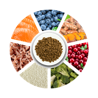 Prochoice Yetişkin Hassas Köpekler İçin, Hipoalerjenik, Balıklı Ve Pirinçli Kuru Mama 12 kg 3