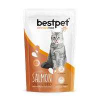 Bestpet Yetişkin Kısırlaştırılmış Kediler İçin Somonlu Kuru Mama 1 kg 1