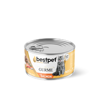 Bestpet Yetişkin Kediler İçin Tahılsız, Jöle İçinde Somon Balıklı Yaş Mama 85 gr 1
