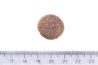 Brit Care Deri Ve Tüy Hassasiyeti Olan, Büyük Irk Yetişkin Köpekler İçin, Tahılsız, Somonlu Kuru Mama 12 kg 5