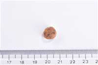 Brit Care Kısırlaştırılmış Kediler İçin, Tahılsız, Hipoalerjenik, Domuz Etli Kuru Mama 7 kg 2