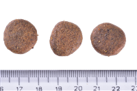 Brit Care Kilo Kontrolü Ve Deri - Tüy Hassasiyeti Olan Yaşlı Köpekler İçin, Tahılsız, Somonlu Kuru Mama 3 kg 4