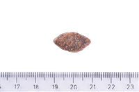 Brit Care Sindirim Sistemi, Gıda İntoleransı Ve Deri Hassasiyetine Sahip Köpekler İçin, Tahılsız, Geyik Etli Kuru Mama 3 kg 4