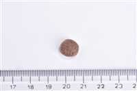 Brit Care Kısırlaştırılmış Hassas Kediler İçin, Tahılsız, Hipoalerjenik Taze Tavşan Etli Kuru Mama 7 kg 2