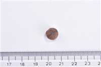 Brit Care Alerjileri Olan Yetişkin Kediler İçin, Tahılsız, Hipoalerjenik, Larva Ve Taze Ringa Balıklı Kuru Mama 7 kg 2