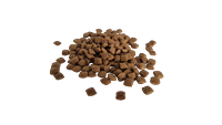 Bestpet Yetişkin Kediler İçin Tavuk Etli Kuru Mama 1 kg 2