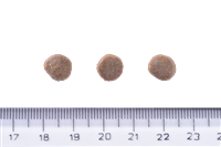 Brit Care Deri Ve Tüy Hassasiyeti Olan Yavru Köpekler İçin, Tahılsız, Somonlu Kuru Mama 12 kg 4