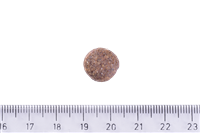 Brit Care Deri Ve Tüy Hassasiyeti Olan, Yetişkin Köpekler İçin, Tahılsız, Somonlu Kuru Mama 3 kg 4