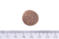 Brit Care Yetişkin Köpekler İçin, Tek Proteinli, Hipoalerjenik, Kuzu Etli Kuru Mama 3 kg 3