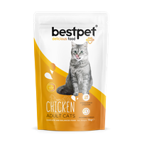 Bestpet Yetişkin Kediler İçin Tavuk Etli Kuru Mama 1 kg 1
