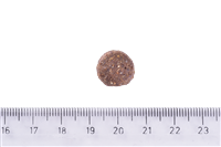 Brit Care Orta Irk Yetişkin Köpekler İçin, Tek Proteinli, Hipoalerjenik, Kuzu Etli Kuru Mama 3 kg 3