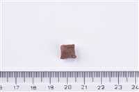 Brit Premium By Nature Kısırlaştırılmış Kediler İçin, Kuzu Etli Kuru Mama 8 kg 2