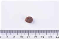 Brit Premium By Nature Kısırlaştırılmış Kediler İçin, Somon Balıklı Kuru Mama 8 kg 2