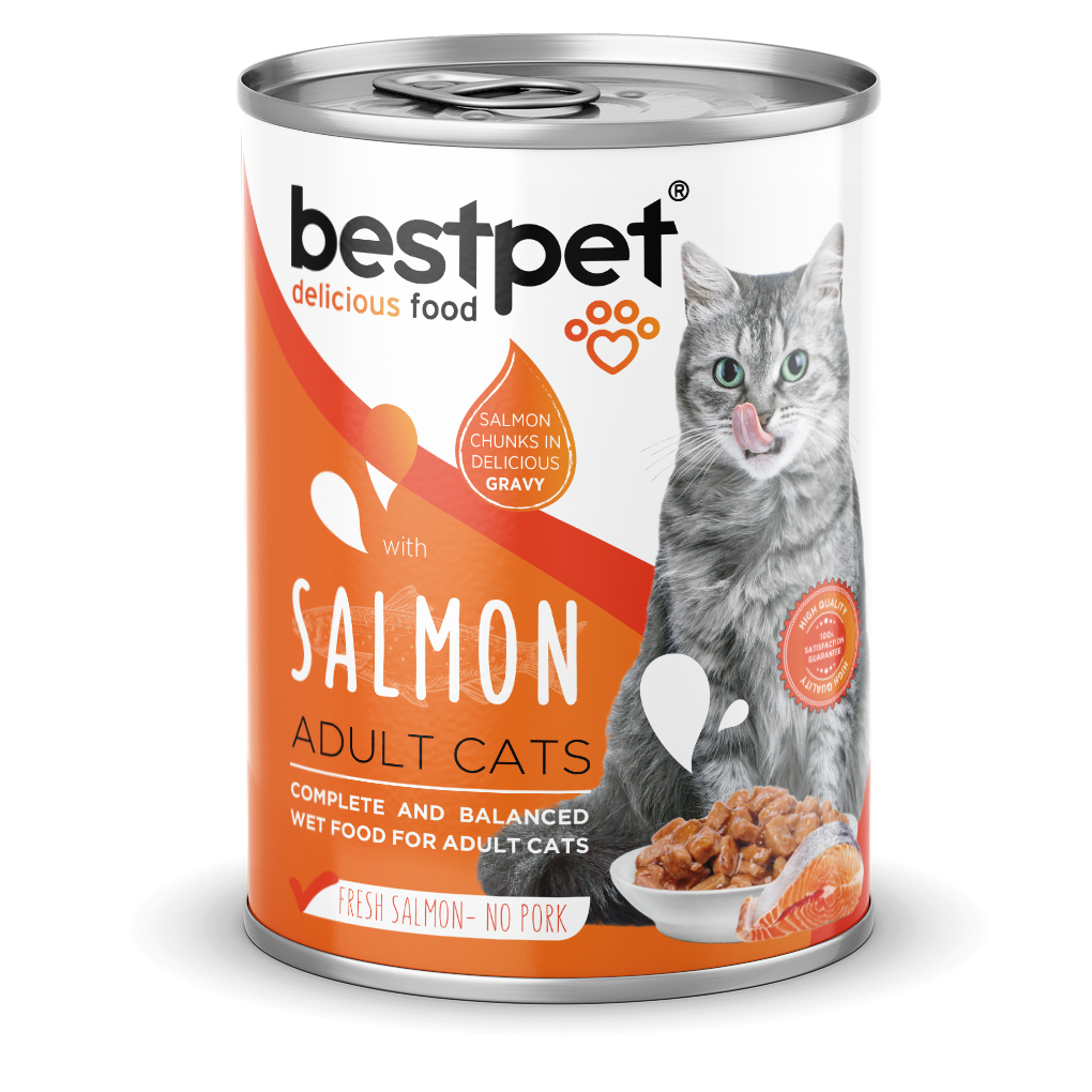 Bestpet Yetişkin Kediler İçin, Taze Somon Parça Etli Ve Soslu Yaş Mama 400 gr 1