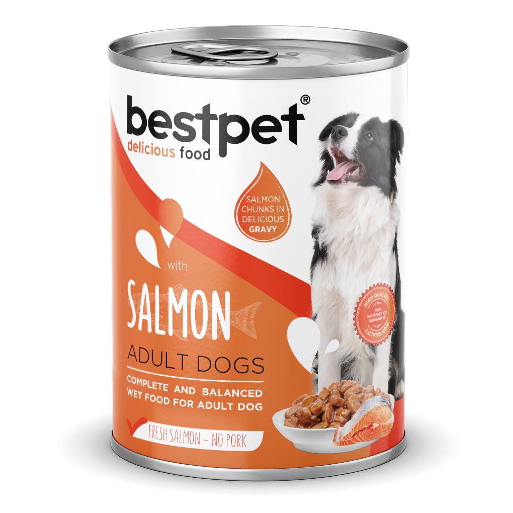 Bestpet Yetişkin Köpekler İçin, Taze Somon Parça Etli Ve Soslu Yaş Mama 400 gr 1