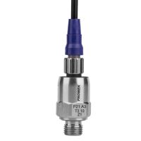 P21 N4 T3 160 Z2 - MODEL PRESSURE TRANSMITTER 2