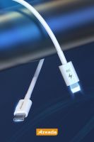 Azeada Type-C to Lightning PD-B84i 35W Data Kablosu Beyaz - 3